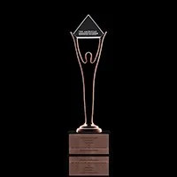 2019 Stevie Award